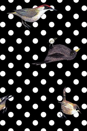 波点小鸟印花华亿平台图片