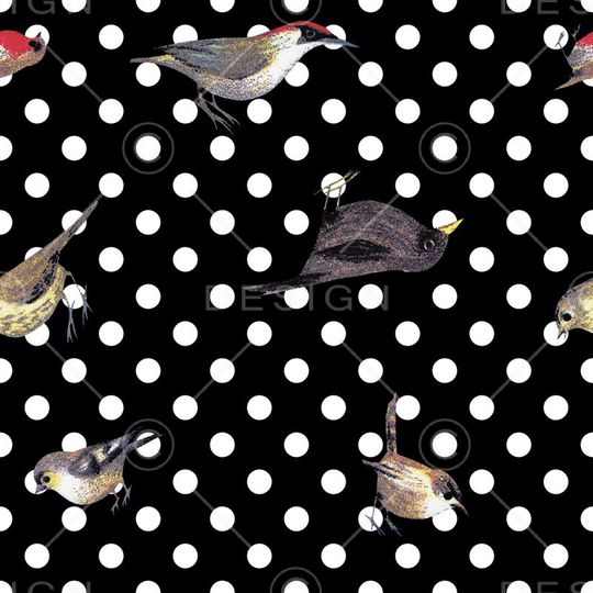 波点小鸟印花华亿平台图片