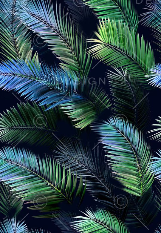 热带棕榈叶冷色调泳装系列印花华亿平台图片