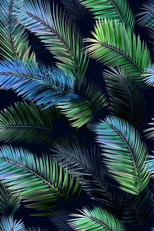 热带棕榈叶冷色调泳装系列印花华亿平台图片