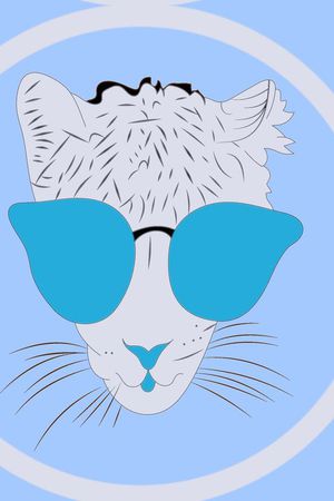 2017年大牌女装趣味卡通动物形象女装华亿平台印花华亿平台图片