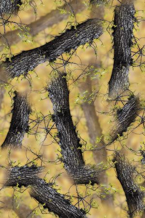 迷彩印花华亿平台图片