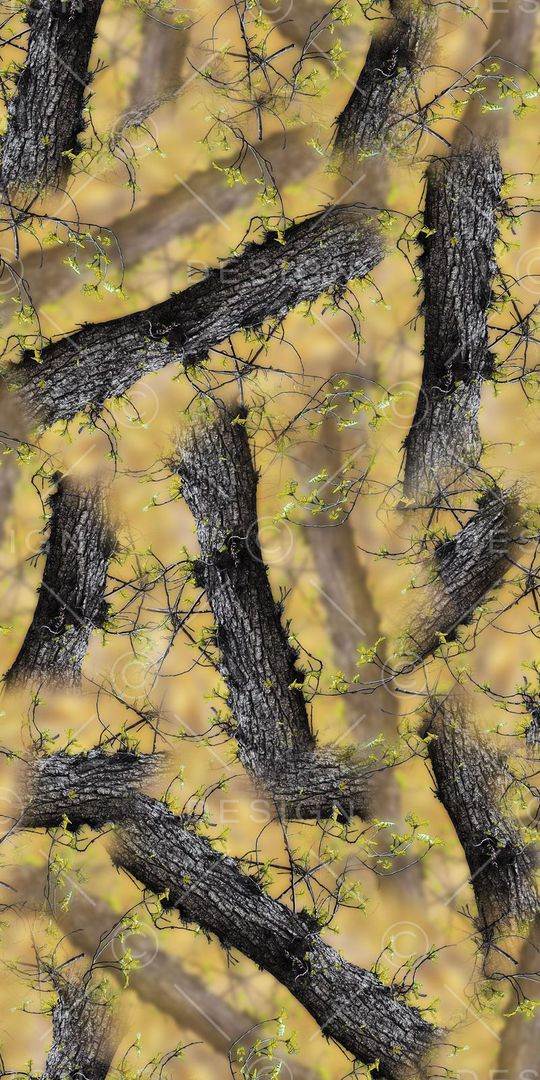 迷彩印花华亿平台图片