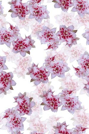 时尚清爽大牌女装裙子花卉数码印花印花华亿平台图片