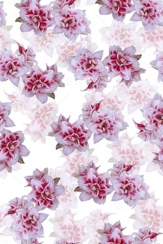 时尚清爽大牌女装裙子花卉数码印花印花华亿平台图片