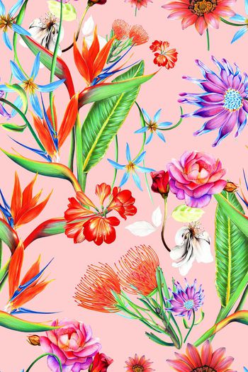 632383-热带大叶子