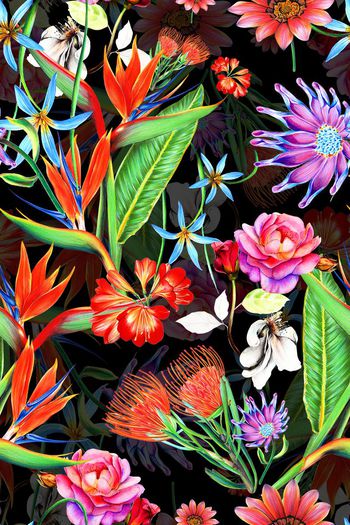 632414-热带大叶子