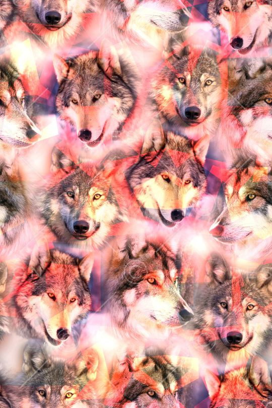 狼印花华亿平台图片