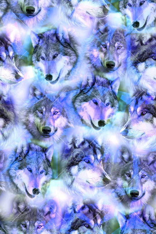 狼印花华亿平台图片