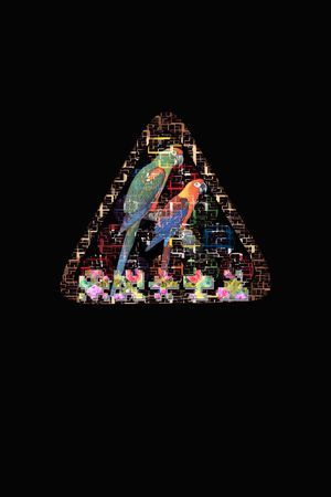 休闲风印花华亿平台图片