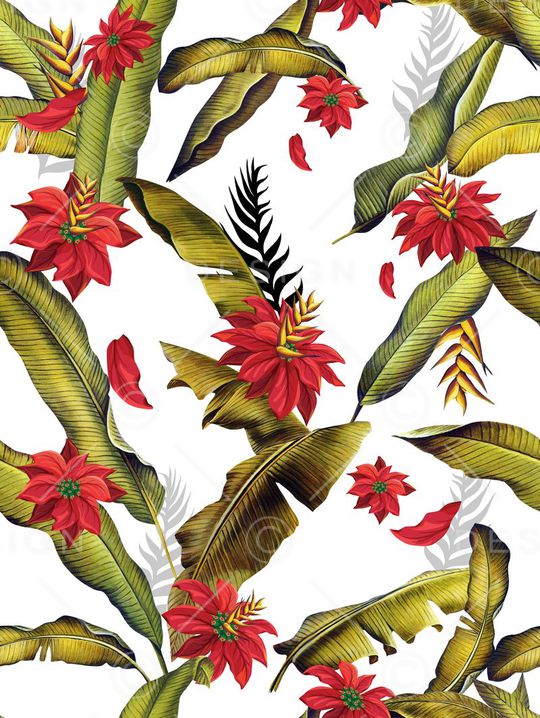 热带泳装印花华亿平台图片