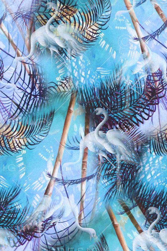 热带印花华亿平台图片