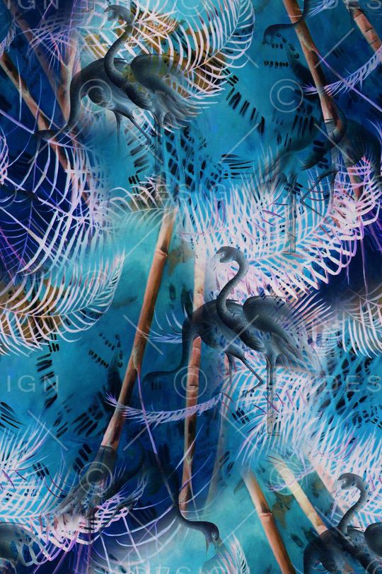 热带印花华亿平台图片