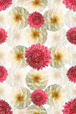 数码印花华亿平台图片