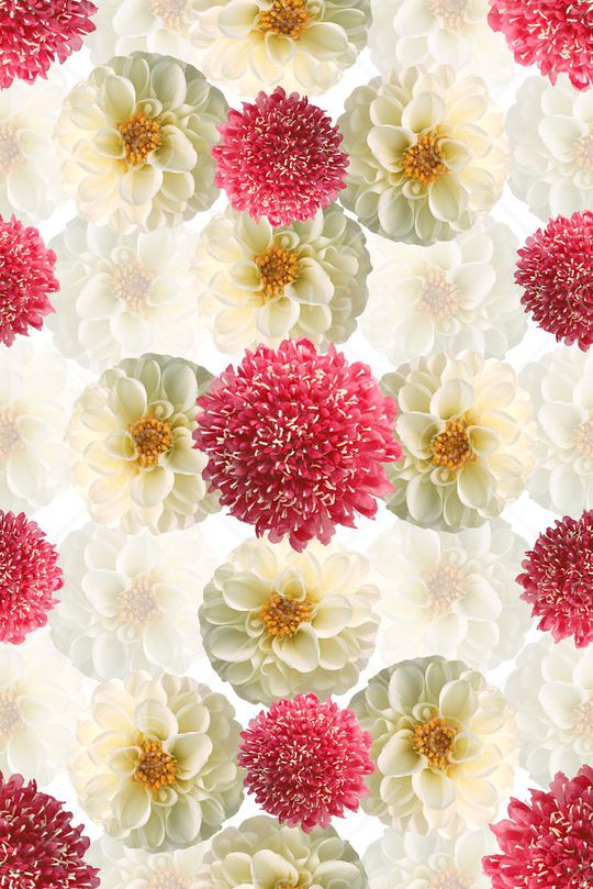 数码印花华亿平台图片