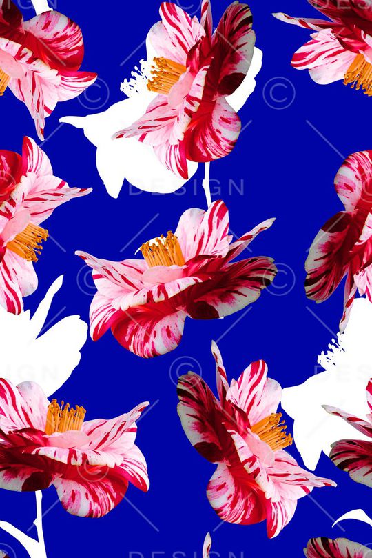 时尚大牌女装裙子花卉花朵数码印花印花华亿平台图片