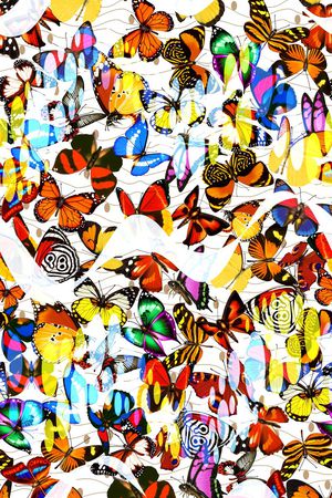 波普印花华亿平台图片