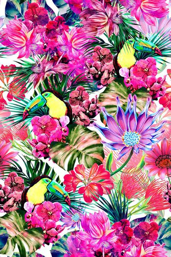 632891-热带天堂鸟2