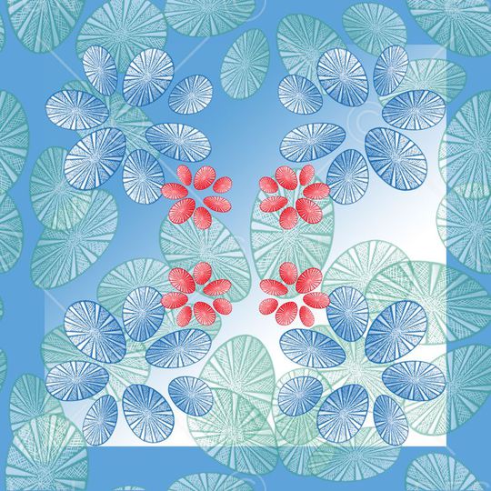 丝巾围巾秀场印花华亿平台图片