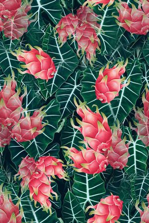 叶子组合印花华亿平台图片