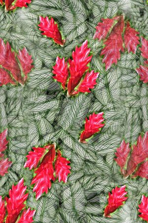 叶子组合印花华亿平台图片