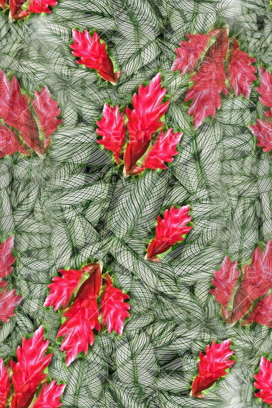 叶子组合印花华亿平台图片