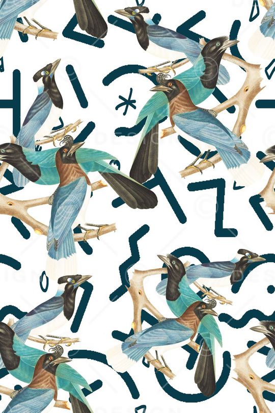 女装印花华亿平台图片