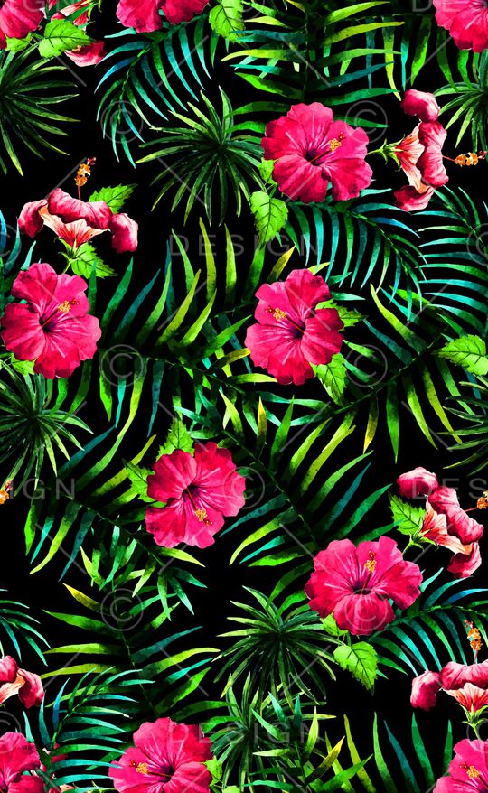 泳装印花华亿平台图片