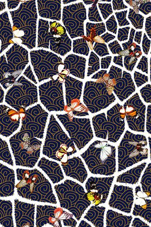 蝴蝶印花华亿平台图片