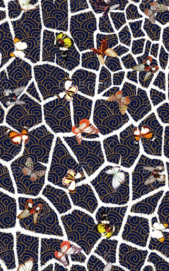 蝴蝶印花华亿平台图片