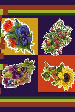 方巾、罂粟花印花华亿平台图片