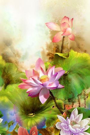 荷花印花华亿平台图片