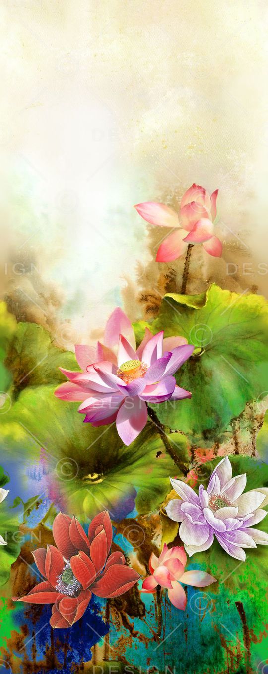 荷花印花华亿平台图片