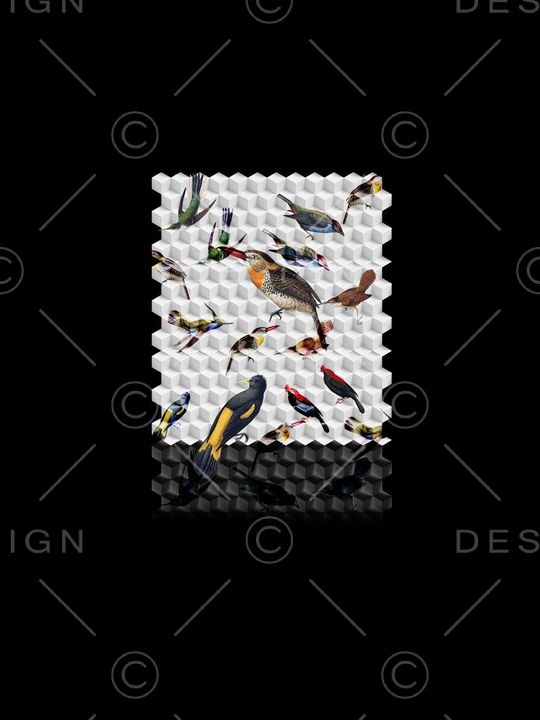 原创立方体鸟印花华亿平台图片