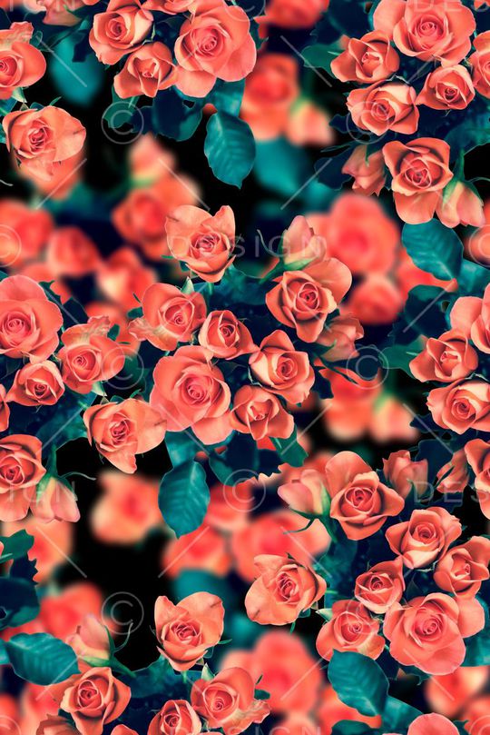 时尚抽象渐变玫瑰花花卉数码印花印花华亿平台图片