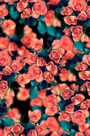 时尚抽象渐变玫瑰花花卉数码印花印花华亿平台图片