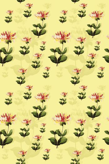 花瓣印花华亿平台图片