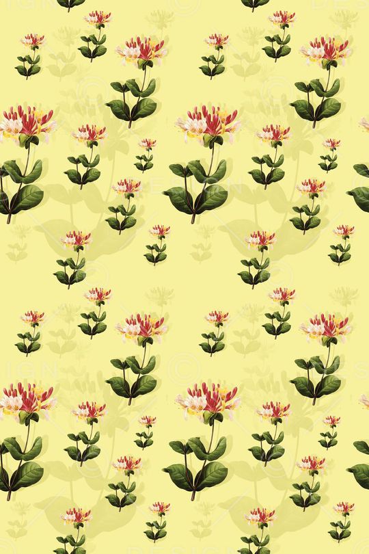 花瓣印花华亿平台图片