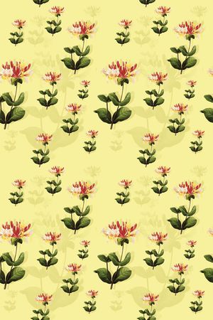 花瓣印花华亿平台图片