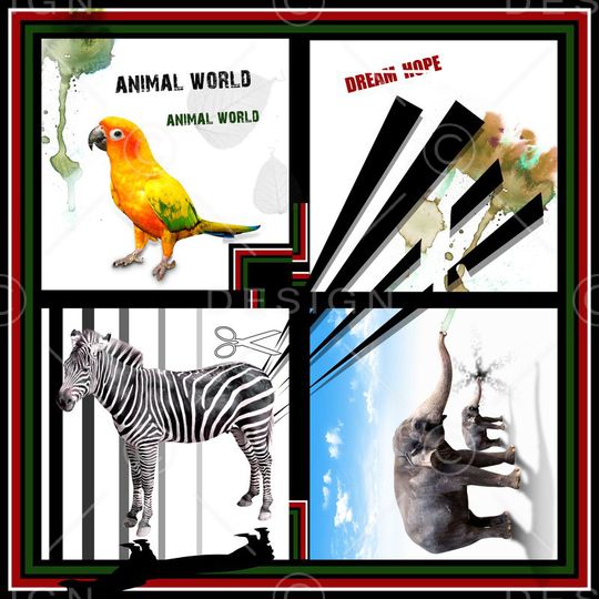 方巾、大象印花华亿平台图片