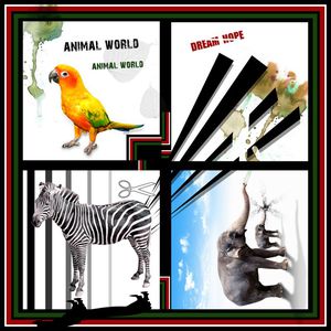 方巾、大象印花华亿平台图片