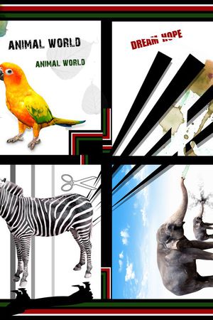 方巾、大象印花华亿平台图片