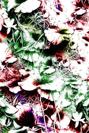 色彩层次印花华亿平台图片