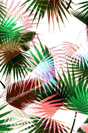 叶子印花华亿平台图片