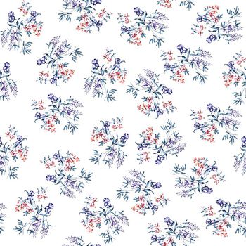 634259-风信子兰花花卉