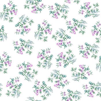 634260-风信子兰花花卉绿