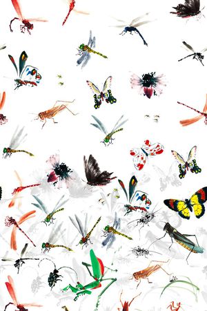 连衣裙印花华亿平台图片