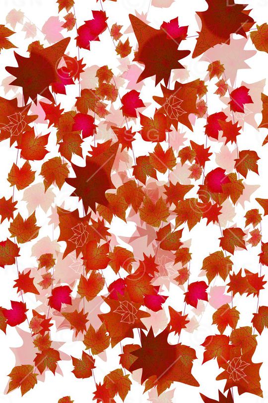 叶子印花华亿平台图片