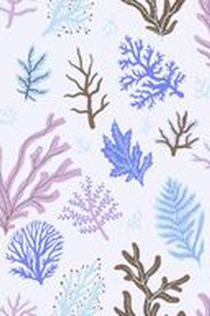 珊瑚印花华亿平台图片