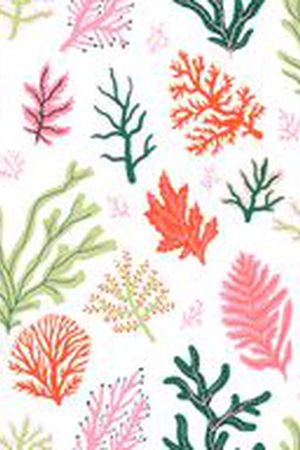 珊瑚印花华亿平台图片